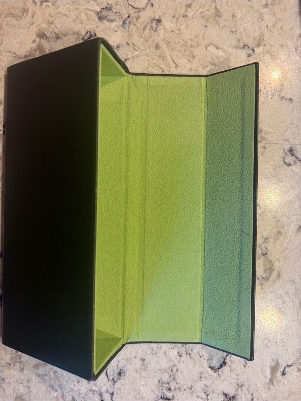 Longchamp Olive Green Eyewear Case with Embossed Logo - Picture 3 of 5